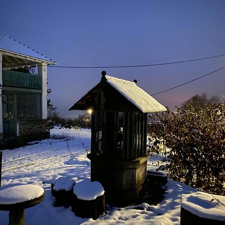 Ferienwohnung Bardio Birtokhaz - Koerpanorama Lesenceistvand Exterior foto